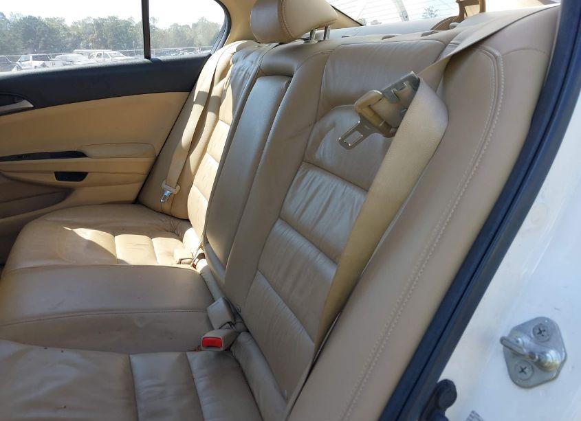 Photo 8 of 2012 Honda Accord 2.4 SE (VIN 1HGCP2F63CA136560)