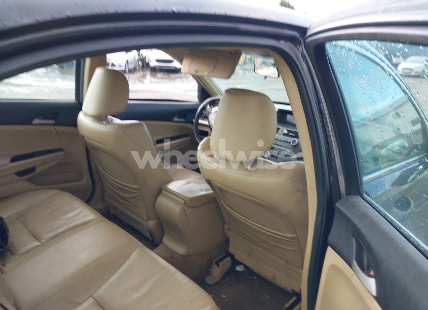 Photo 8 of 2012 Honda Accord 2.4 SE (VIN 1HGCP2F63CA198752)