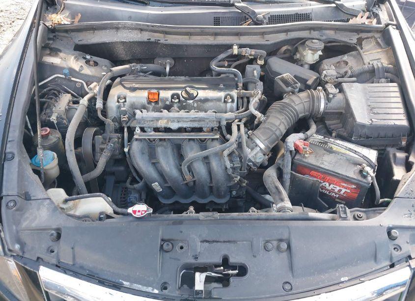 Photo 10 of 2011 Honda Accord 2.4 SE (VIN 1HGCP2F64BA126439)