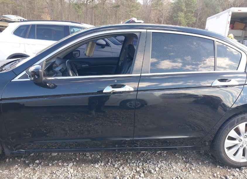 Photo 14 of 2011 Honda Accord 2.4 SE (VIN 1HGCP2F64BA126439)