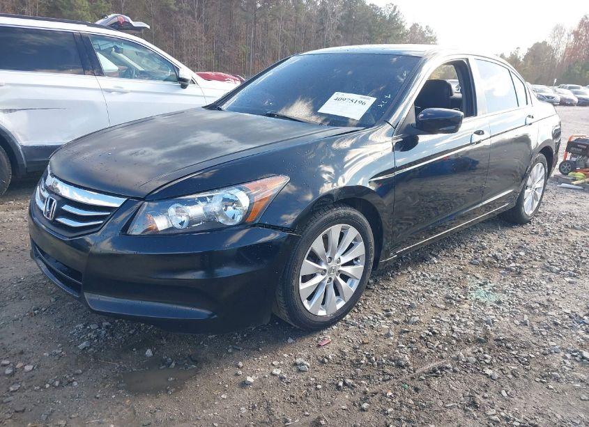 Photo 2 of 2011 Honda Accord 2.4 SE (VIN 1HGCP2F64BA126439)