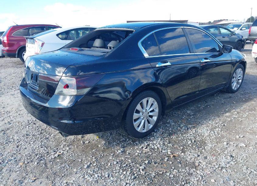 Photo 4 of 2011 Honda Accord 2.4 SE (VIN 1HGCP2F64BA126439)