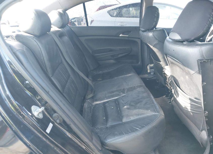 Photo 8 of 2011 Honda Accord 2.4 SE (VIN 1HGCP2F64BA126439)