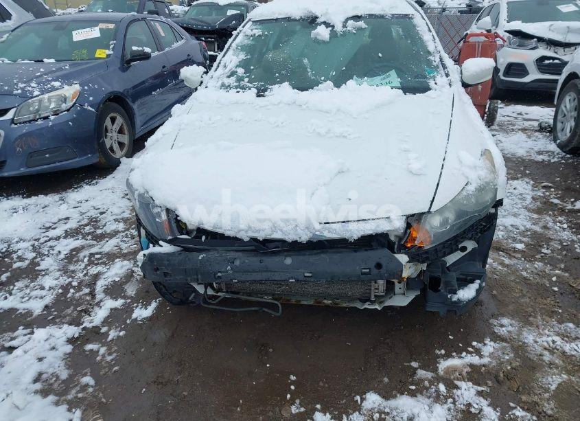 Photo 13 of 2011 Honda Accord 2.4 SE (VIN 1HGCP2F64BA142592)