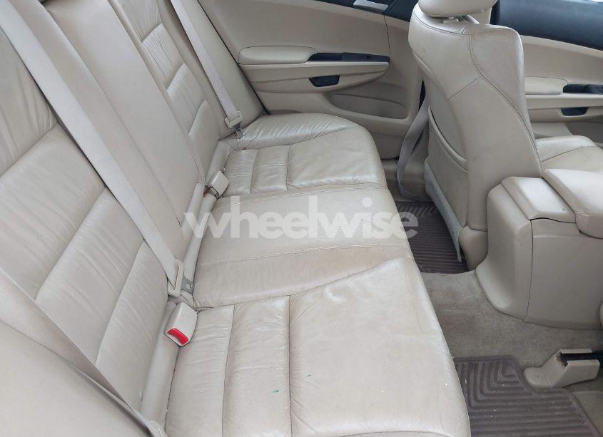 Photo 8 of 2011 Honda Accord 2.4 SE (VIN 1HGCP2F64BA142592)