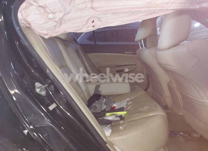 Photo 8 of 2012 Honda Accord 2.4 SE (VIN 1HGCP2F64CA109089)