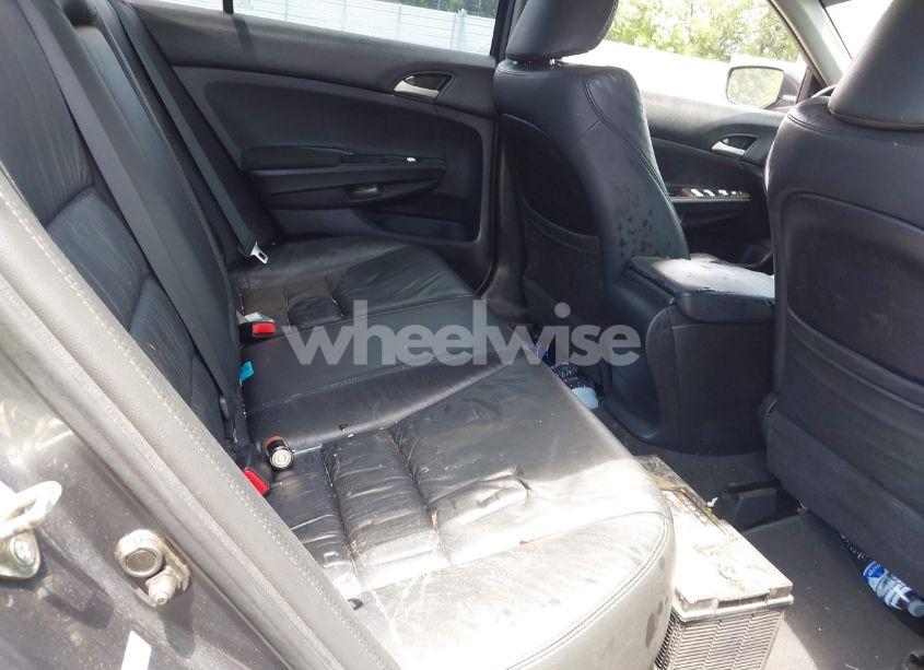 Photo 8 of 2012 Honda Accord 2.4 SE (VIN 1HGCP2F64CA147261)