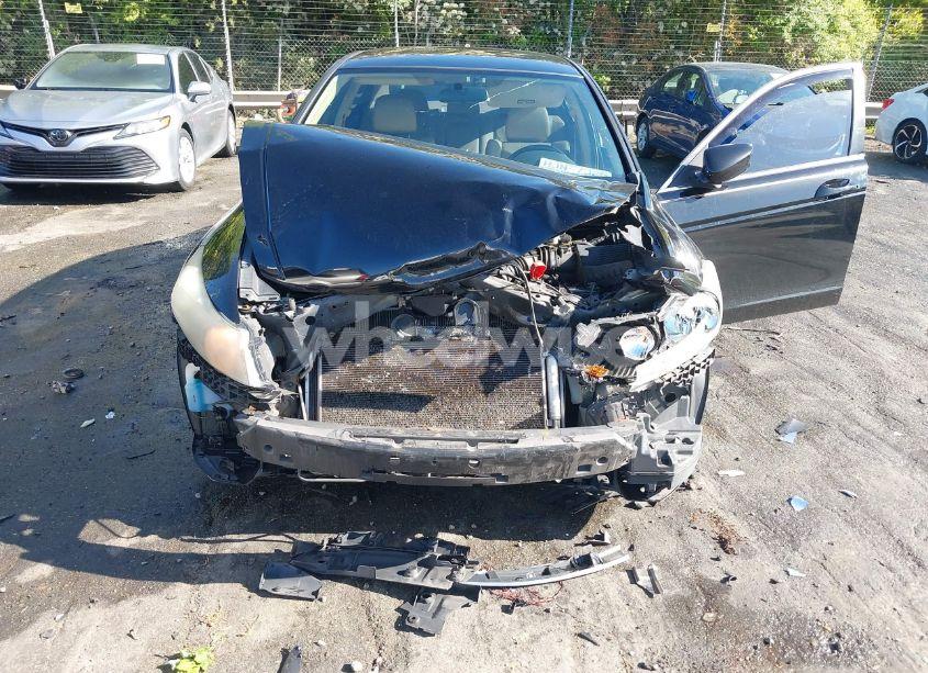 Photo 6 of 2011 Honda Accord 2.4 SE (VIN 1HGCP2F65BA084105)