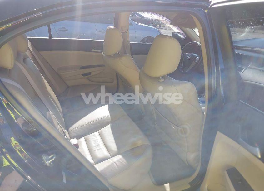 Photo 8 of 2011 Honda Accord 2.4 SE (VIN 1HGCP2F65BA084105)