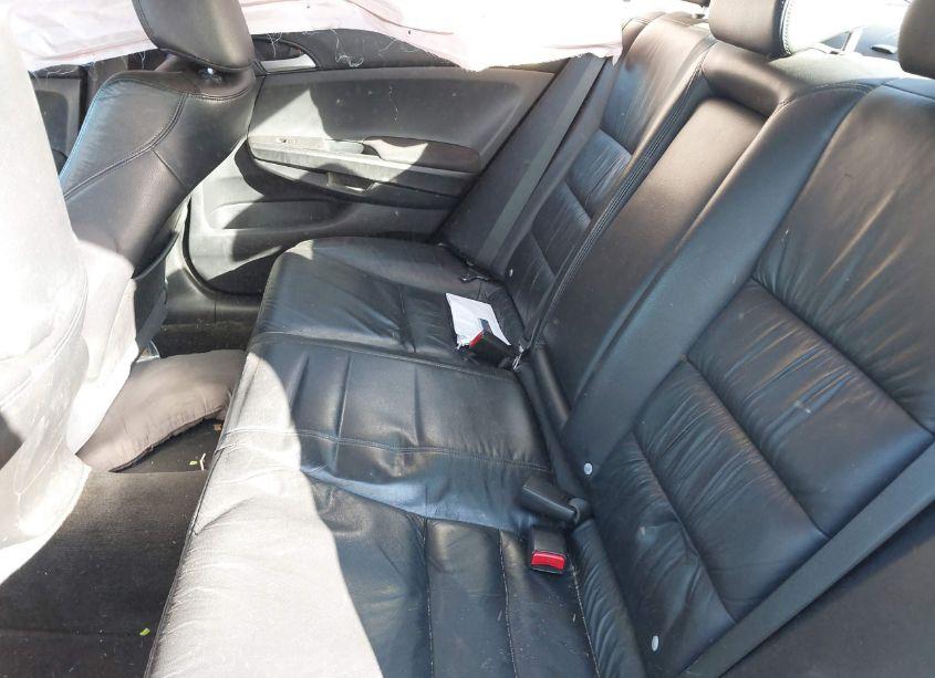 Photo 8 of 2012 Honda Accord 2.4 SE (VIN 1HGCP2F65CA244503)