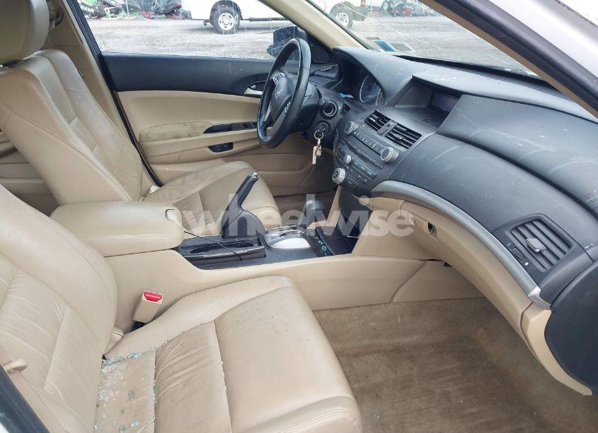 Photo 5 of 2011 Honda Accord 2.4 SE (VIN 1HGCP2F66BA098594)