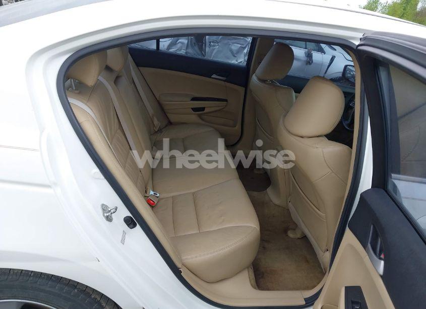 Photo 8 of 2011 Honda Accord 2.4 SE (VIN 1HGCP2F66BA114759)