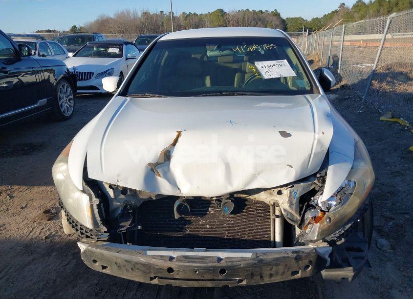 Photo 13 of 2011 Honda Accord 2.4 SE (VIN 1HGCP2F66BA124157)