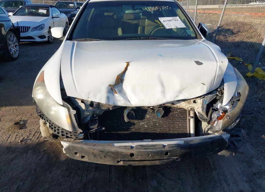 Photo 6 of 2011 Honda Accord 2.4 SE (VIN 1HGCP2F66BA124157)