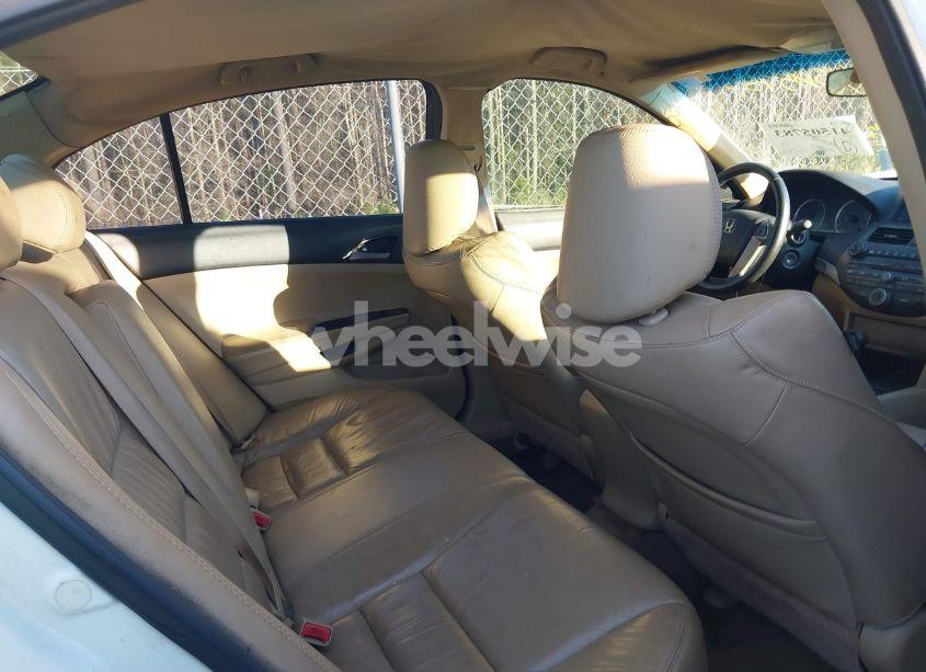 Photo 8 of 2011 Honda Accord 2.4 SE (VIN 1HGCP2F66BA124157)