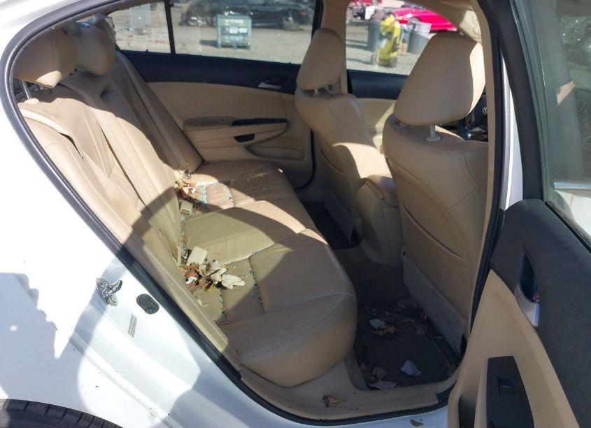 Photo 8 of 2012 Honda Accord 2.4 SE (VIN 1HGCP2F66CA156267)