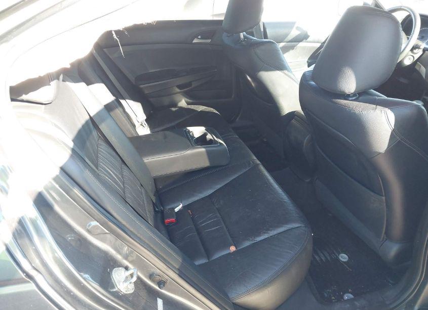 Photo 8 of 2012 Honda Accord 2.4 SE (VIN 1HGCP2F66CA207802)