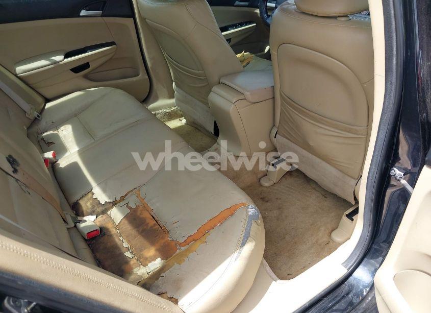 Photo 8 of 2011 Honda Accord 2.4 SE (VIN 1HGCP2F67BA101924)