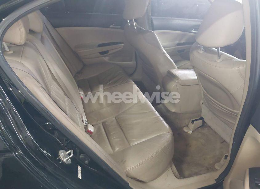 Photo 8 of 2012 Honda Accord 2.4 SE (VIN 1HGCP2F67CA204455)