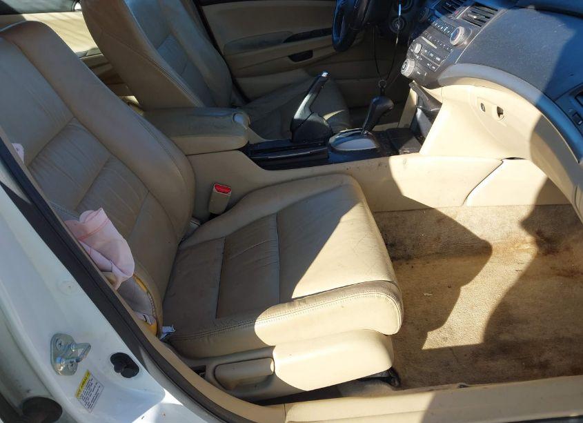 Photo 5 of 2011 Honda Accord 2.4 SE (VIN 1HGCP2F68BA017126)