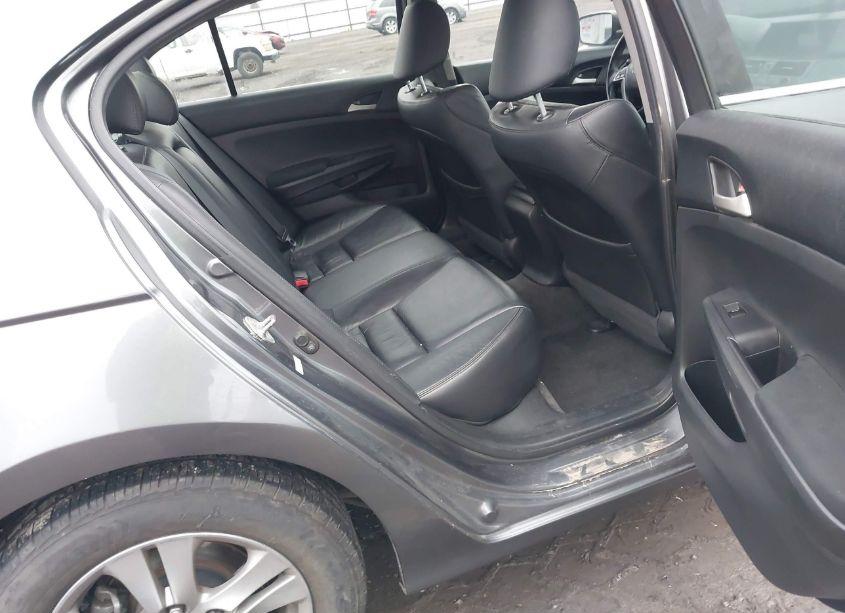 Photo 8 of 2011 Honda Accord 2.4 SE (VIN 1HGCP2F68BA082753)