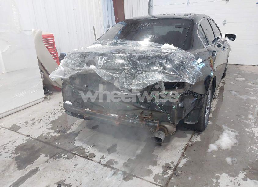 Photo 17 of 2011 Honda Accord 2.4 SE (VIN 1HGCP2F68BA091517)