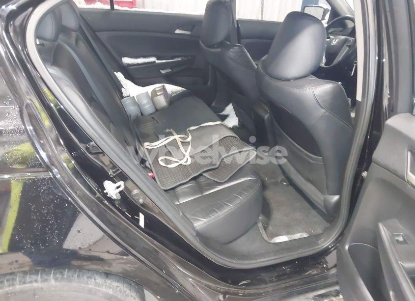 Photo 8 of 2011 Honda Accord 2.4 SE (VIN 1HGCP2F68BA091517)