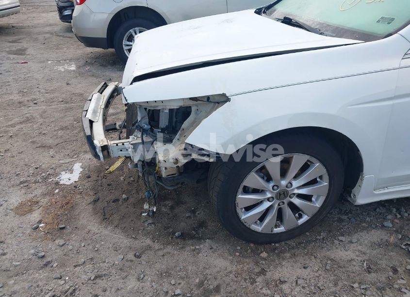 Photo 18 of 2011 Honda Accord 2.4 SE (VIN 1HGCP2F68BA121101)