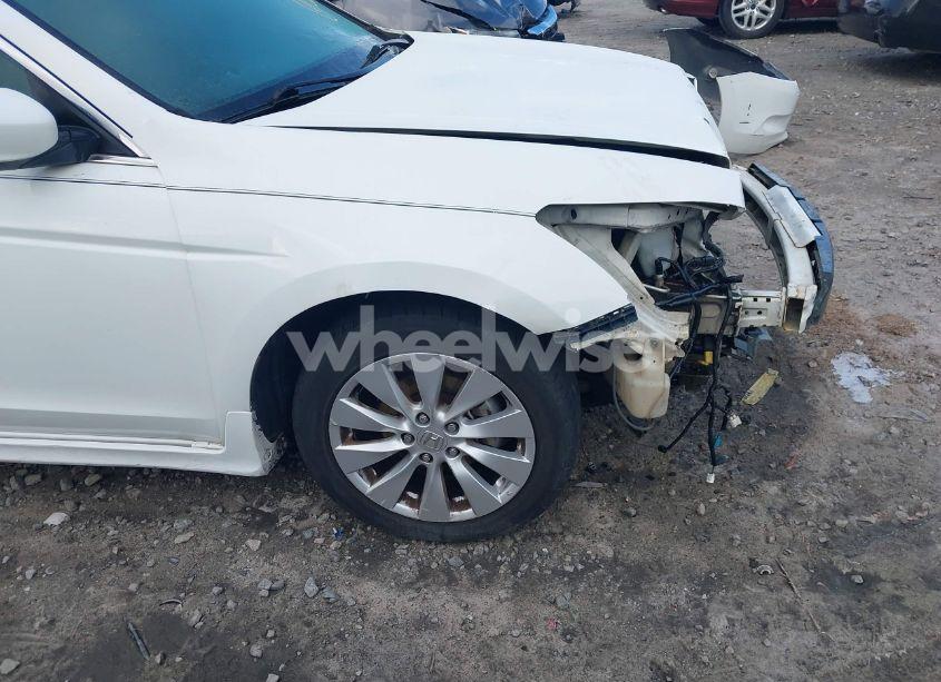 Photo 19 of 2011 Honda Accord 2.4 SE (VIN 1HGCP2F68BA121101)