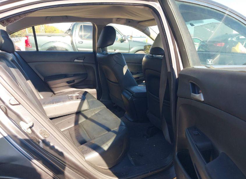 Photo 8 of 2011 Honda Accord 2.4 SE (VIN 1HGCP2F69BA012775)