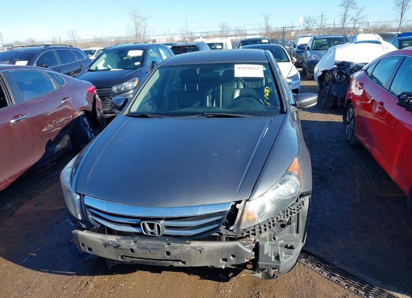 Photo 13 of 2011 Honda Accord 2.4 SE (VIN 1HGCP2F69BA065220)
