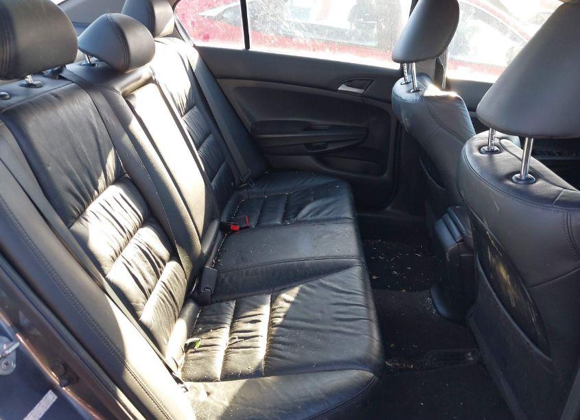 Photo 8 of 2011 Honda Accord 2.4 SE (VIN 1HGCP2F69BA065220)