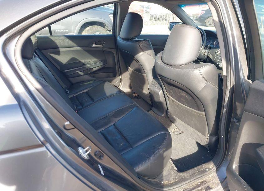 Photo 8 of 2011 Honda Accord 2.4 SE (VIN 1HGCP2F69BA117087)