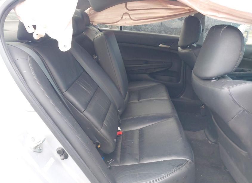 Photo 8 of 2011 Honda Accord 2.4 SE (VIN 1HGCP2F69BA150574)