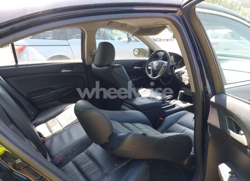 Photo 8 of 2012 Honda Accord 2.4 SE (VIN 1HGCP2F69CA165495)