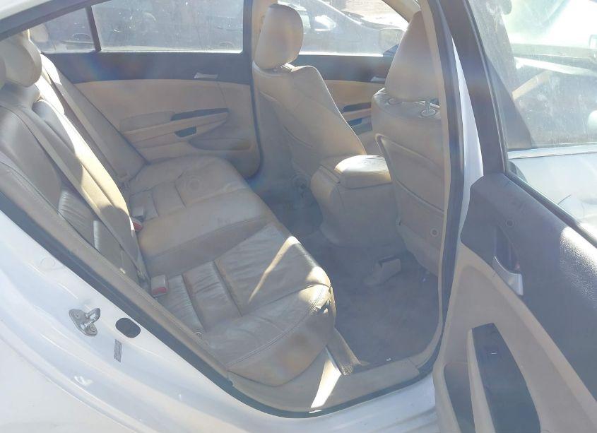 Photo 8 of 2012 Honda Accord 2.4 SE (VIN 1HGCP2F6XCA134739)