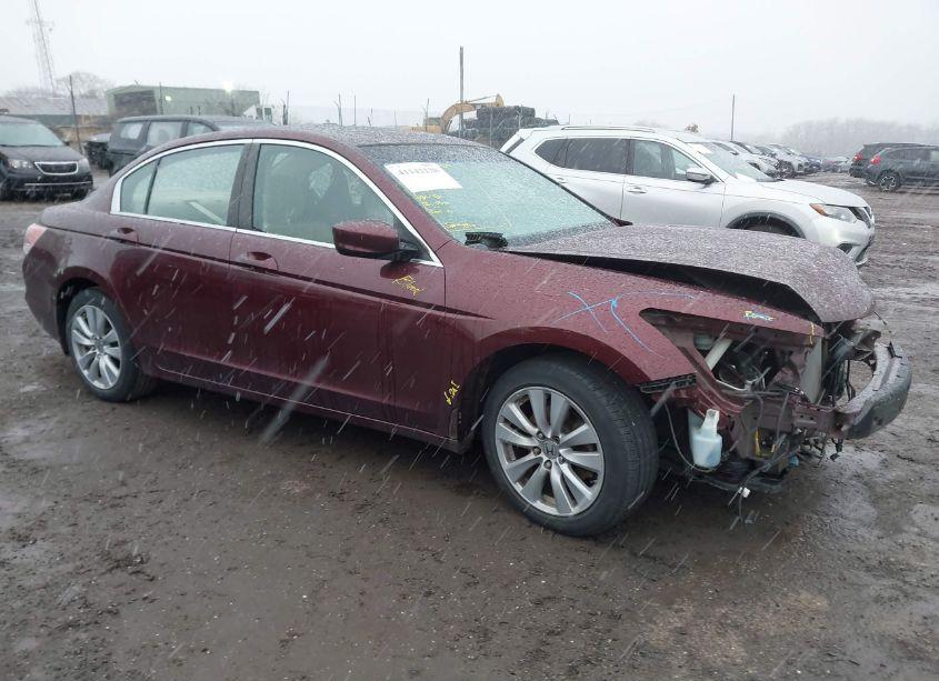 2011 Honda Accord 2.4 EX (VIN 1HGCP2F70BA000345) main photo