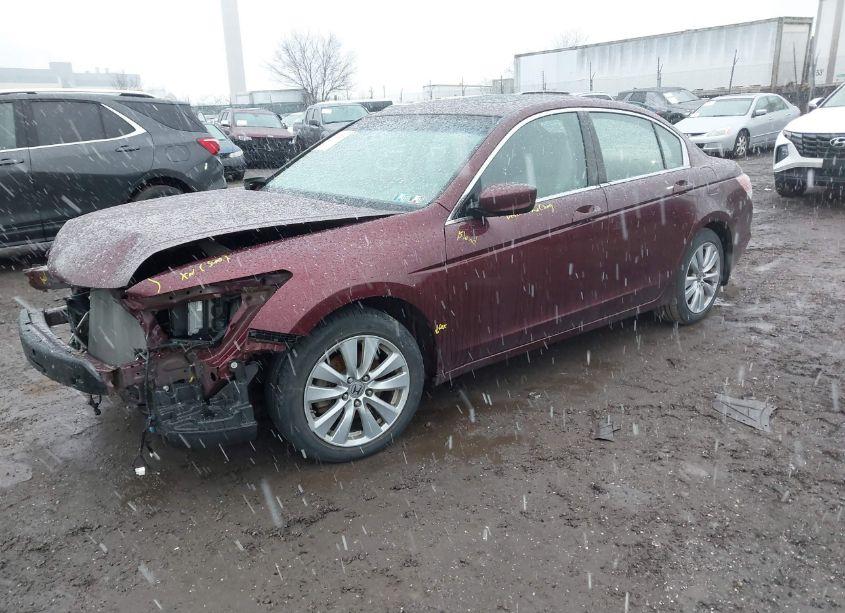 Photo 2 of 2011 Honda Accord 2.4 EX (VIN 1HGCP2F70BA000345)