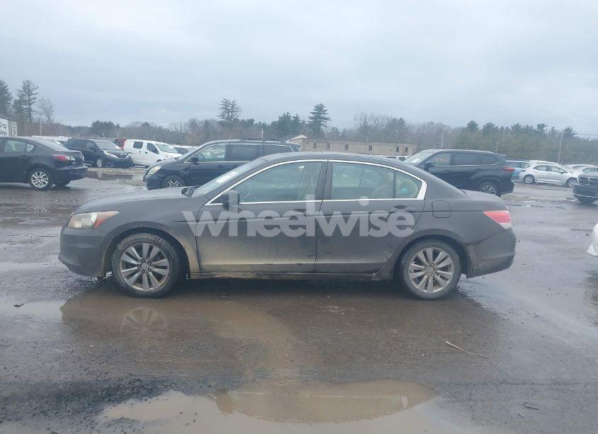 Photo 14 of 2011 Honda Accord 2.4 EX (VIN 1HGCP2F70BA016206)