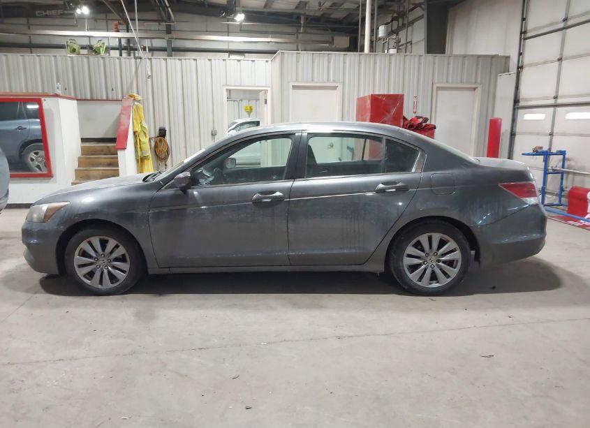 Photo 14 of 2011 Honda Accord 2.4 EX (VIN 1HGCP2F70BA042627)