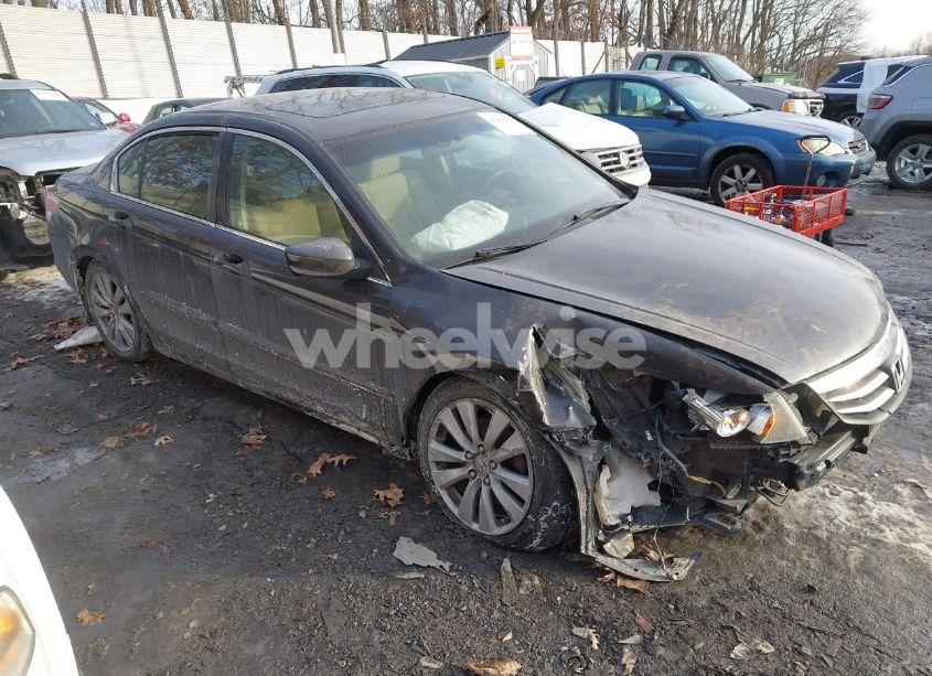 2011 Honda Accord 2.4 EX (VIN 1HGCP2F70BA043003) main photo