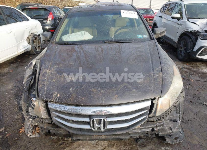 Photo 12 of 2011 Honda Accord 2.4 EX (VIN 1HGCP2F70BA043003)