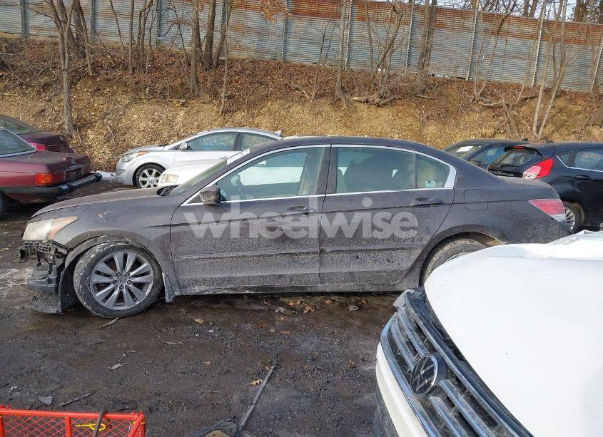 Photo 14 of 2011 Honda Accord 2.4 EX (VIN 1HGCP2F70BA043003)