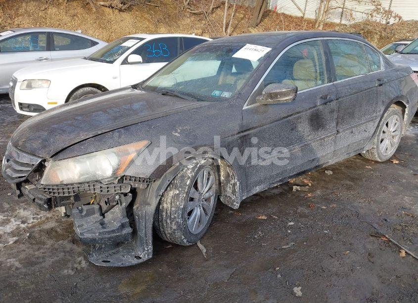 Photo 2 of 2011 Honda Accord 2.4 EX (VIN 1HGCP2F70BA043003)