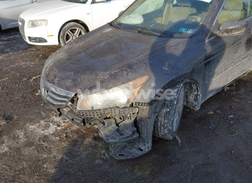 Photo 6 of 2011 Honda Accord 2.4 EX (VIN 1HGCP2F70BA043003)