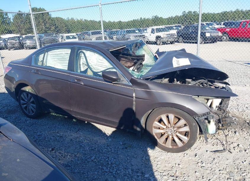 Photo 13 of 2011 Honda Accord 2.4 EX (VIN 1HGCP2F70BA056818)