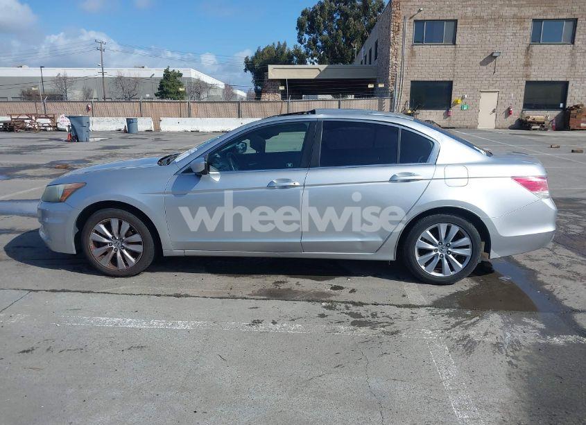 Photo 14 of 2011 Honda Accord 2.4 EX (VIN 1HGCP2F70BA063638)