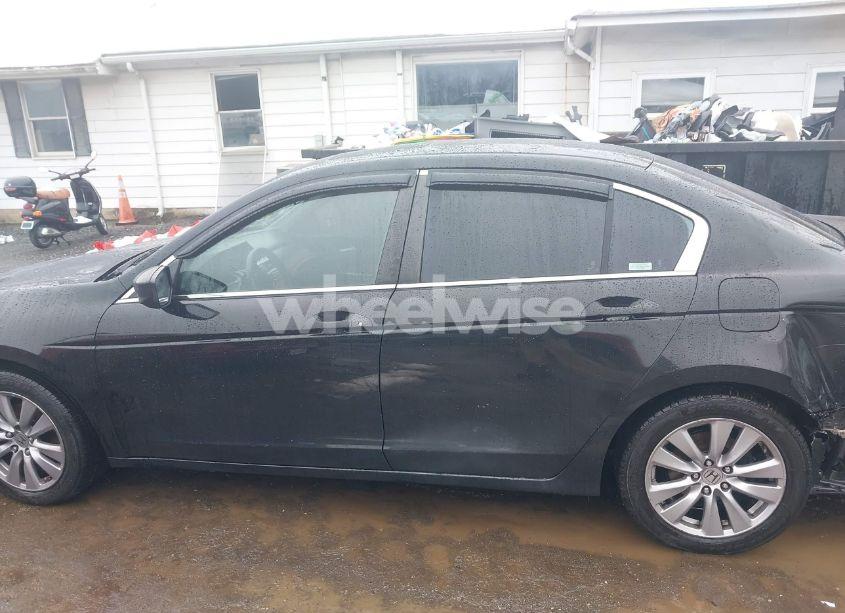 Photo 15 of 2011 Honda Accord 2.4 EX (VIN 1HGCP2F70BA154876)