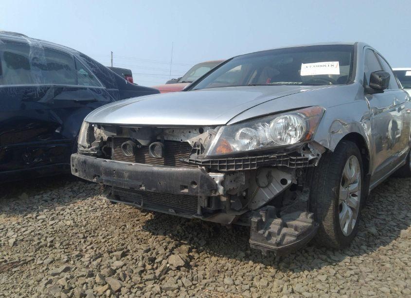 Photo 6 of 2010 Honda Accord 2.4 EX (VIN 1HGCP2F71AA088997)