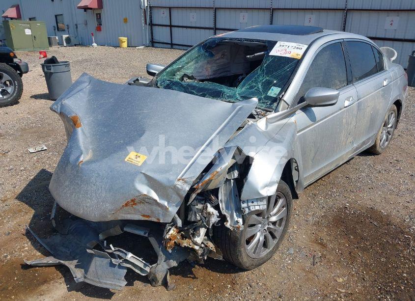 Photo 14 of 2011 Honda Accord 2.4 EX (VIN 1HGCP2F71BA804413)
